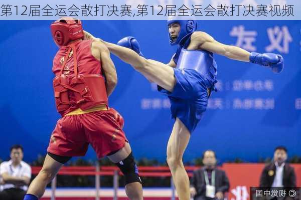 第12届全运会散打决赛,第12届全运会散打决赛视频
