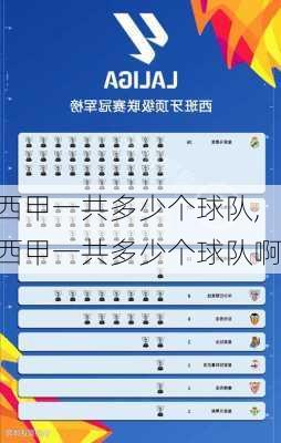 西甲一共多少个球队,西甲一共多少个球队啊