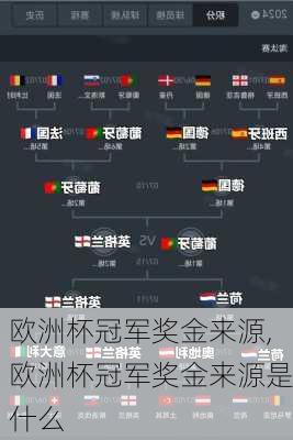 欧洲杯冠军奖金来源,欧洲杯冠军奖金来源是什么