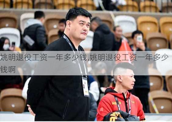 姚明退役工资一年多少钱,姚明退役工资一年多少钱啊