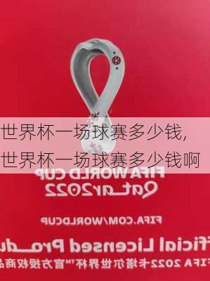世界杯一场球赛多少钱,世界杯一场球赛多少钱啊