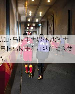 加纳乌拉圭世界杯恩怨,世界杯乌拉圭和加纳的精彩集锦