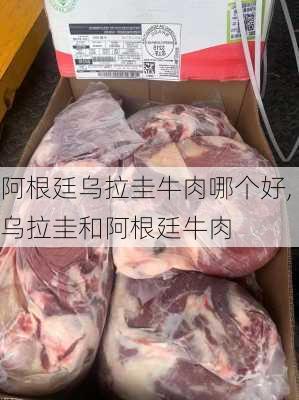 阿根廷乌拉圭牛肉哪个好,乌拉圭和阿根廷牛肉
