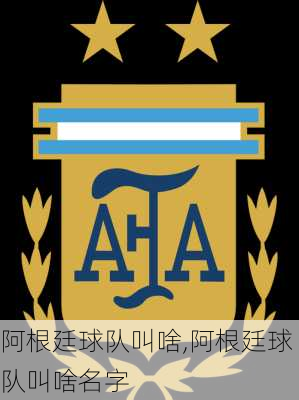 阿根廷球队叫啥,阿根廷球队叫啥名字