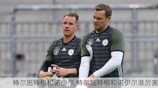 特尔施特根和诺伊尔,特尔施特根和诺伊尔谁厉害