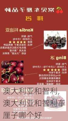 澳大利亚和智利,澳大利亚和智利车厘子哪个好