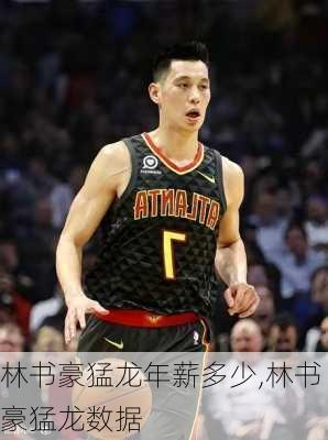 林书豪猛龙年薪多少,林书豪猛龙数据