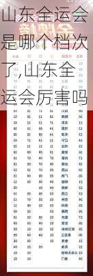山东全运会是哪个档次了,山东全运会厉害吗