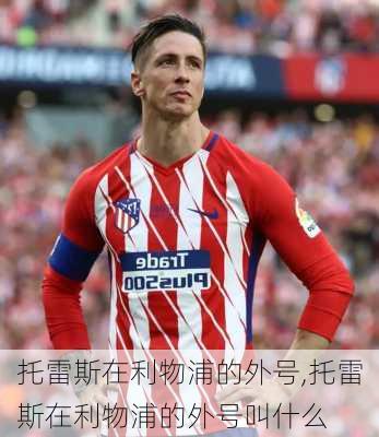 托雷斯在利物浦的外号,托雷斯在利物浦的外号叫什么