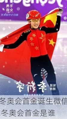 冬奥会首金诞生微信,冬奥会首金是谁