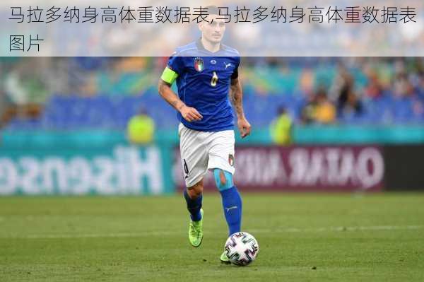 马拉多纳身高体重数据表,马拉多纳身高体重数据表图片