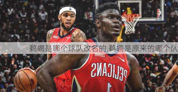 鹈鹕是哪个球队改名的,鹈鹕是原来的哪个队