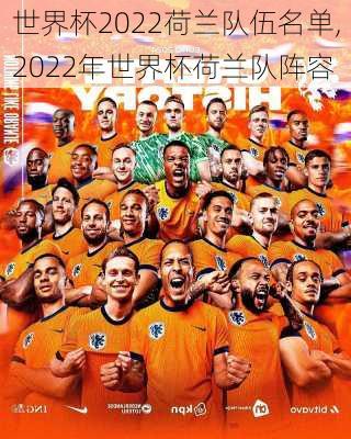 世界杯2022荷兰队伍名单,2022年世界杯荷兰队阵容