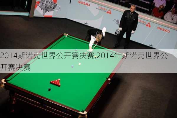 2014斯诺克世界公开赛决赛,2014年斯诺克世界公开赛决赛