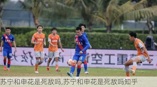 苏宁和申花是死敌吗,苏宁和申花是死敌吗知乎
