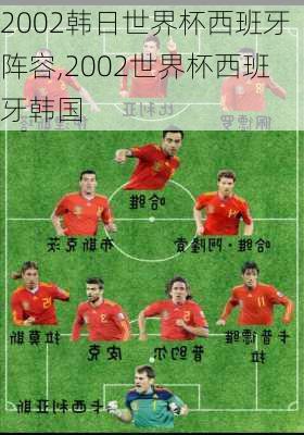 2002韩日世界杯西班牙阵容,2002世界杯西班牙韩国