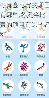 冬奥会比赛的项目有哪些,冬奥会比赛的项目有哪些名称