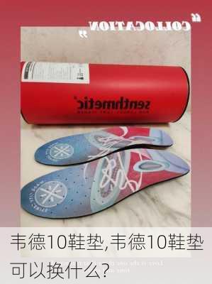 韦德10鞋垫,韦德10鞋垫可以换什么?