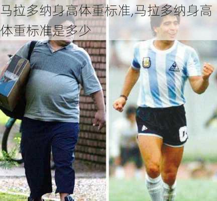 马拉多纳身高体重标准,马拉多纳身高体重标准是多少