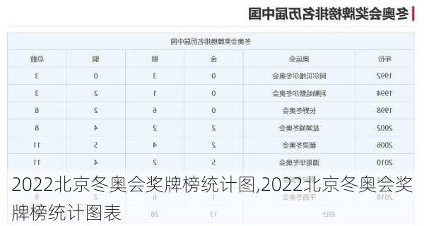 2022北京冬奥会奖牌榜统计图,2022北京冬奥会奖牌榜统计图表
