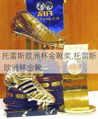 托雷斯欧洲杯金靴奖,托雷斯 欧洲杯金靴
