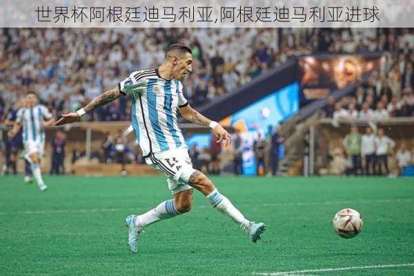 世界杯阿根廷迪马利亚,阿根廷迪马利亚进球