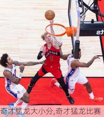 奇才猛龙大小分,奇才猛龙比赛