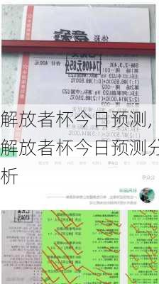 解放者杯今日预测,解放者杯今日预测分析
