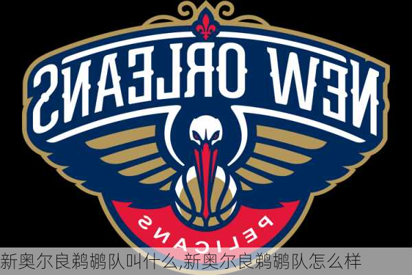 新奥尔良鹈鹕队叫什么,新奥尔良鹈鹕队怎么样