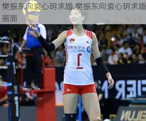 樊振东向袁心玥求婚,樊振东向袁心玥求婚画面
