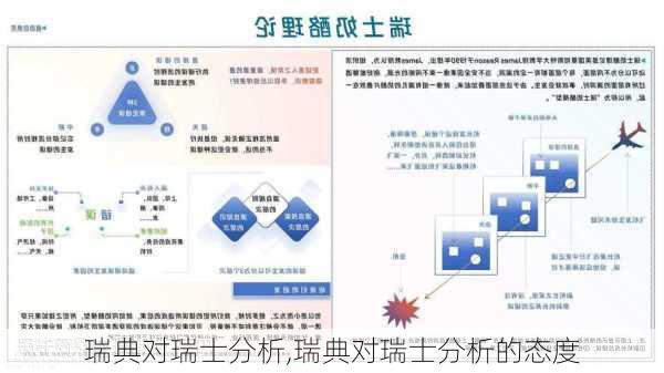 瑞典对瑞士分析,瑞典对瑞士分析的态度
