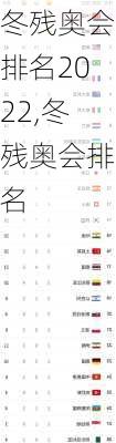 冬残奥会排名2022,冬残奥会排名