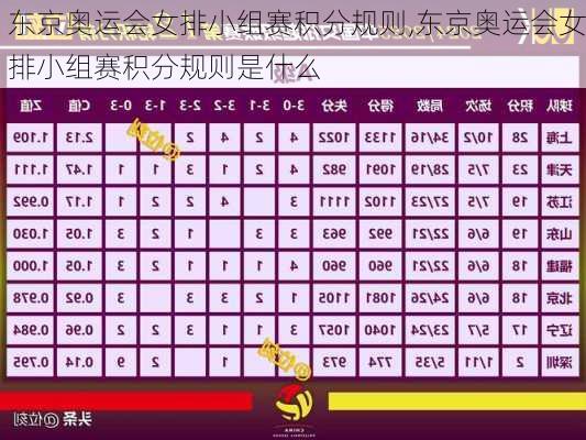 东京奥运会女排小组赛积分规则,东京奥运会女排小组赛积分规则是什么