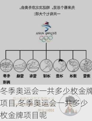 冬季奥运会一共多少枚金牌项目,冬季奥运会一共多少枚金牌项目呢