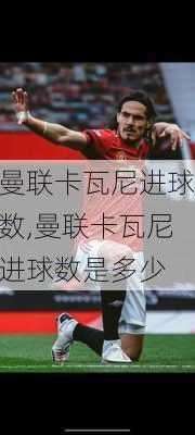 曼联卡瓦尼进球数,曼联卡瓦尼进球数是多少