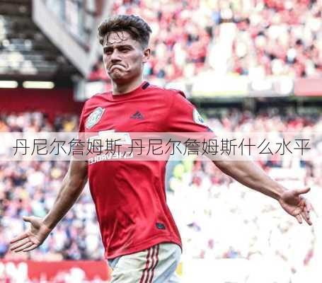 丹尼尔詹姆斯,丹尼尔詹姆斯什么水平
