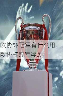欧协杯冠军有什么用,欧协杯冠军奖励