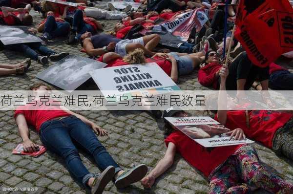 荷兰乌克兰难民,荷兰乌克兰难民数量