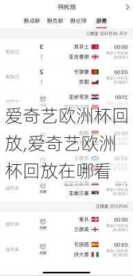 爱奇艺欧洲杯回放,爱奇艺欧洲杯回放在哪看