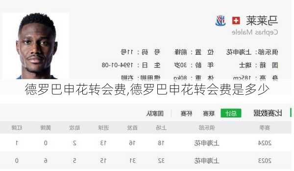 德罗巴申花转会费,德罗巴申花转会费是多少