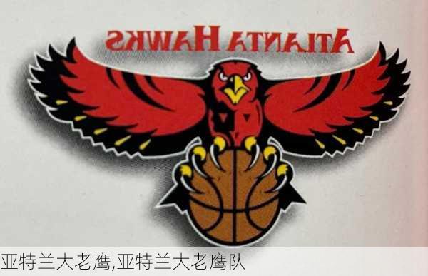 亚特兰大老鹰,亚特兰大老鹰队