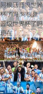 阿根廷晋级世界杯了吗,阿根廷晋级世界杯了吗现在