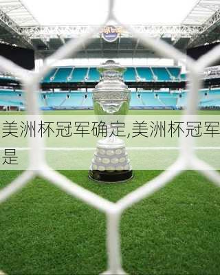 美洲杯冠军确定,美洲杯冠军是