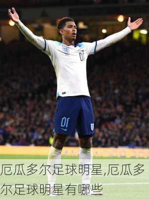 厄瓜多尔足球明星,厄瓜多尔足球明星有哪些