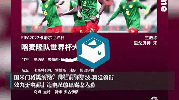 喀麦隆世界杯名单,喀麦隆世界杯名单公布