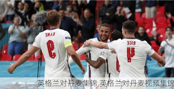英格兰对丹麦集锦,英格兰对丹麦视频集锦