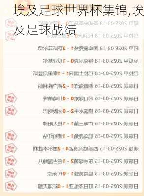 埃及足球世界杯集锦,埃及足球战绩