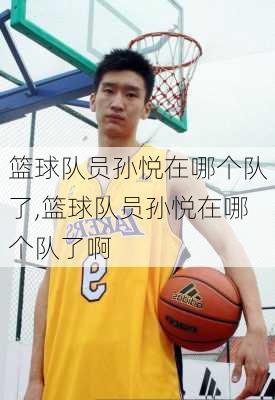 篮球队员孙悦在哪个队了,篮球队员孙悦在哪个队了啊