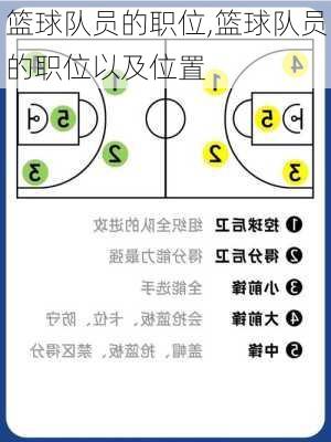 篮球队员的职位,篮球队员的职位以及位置