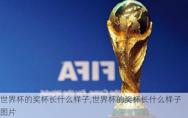 世界杯的奖杯长什么样子,世界杯的奖杯长什么样子图片